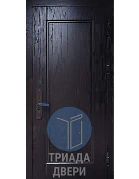 одностворчатая стальная дверь с биометрическим замком в квартиру