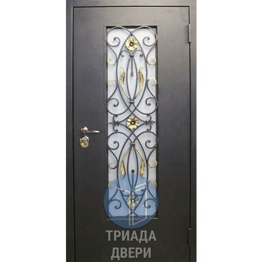 одностворчатая дверь с антивандальным покрытием и ковкой