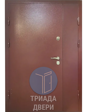 входная двустворчатая дверь с порошковым окрасом