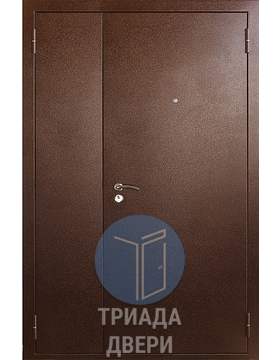 двустворчатая дверь с порошком и боковой вставкой